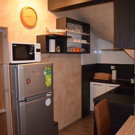 Apartment Borovnica Moravske Toplice Bagian luar foto